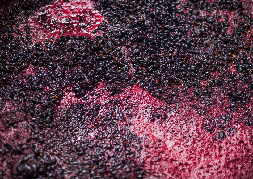 Alcohol Fermentation Solutions